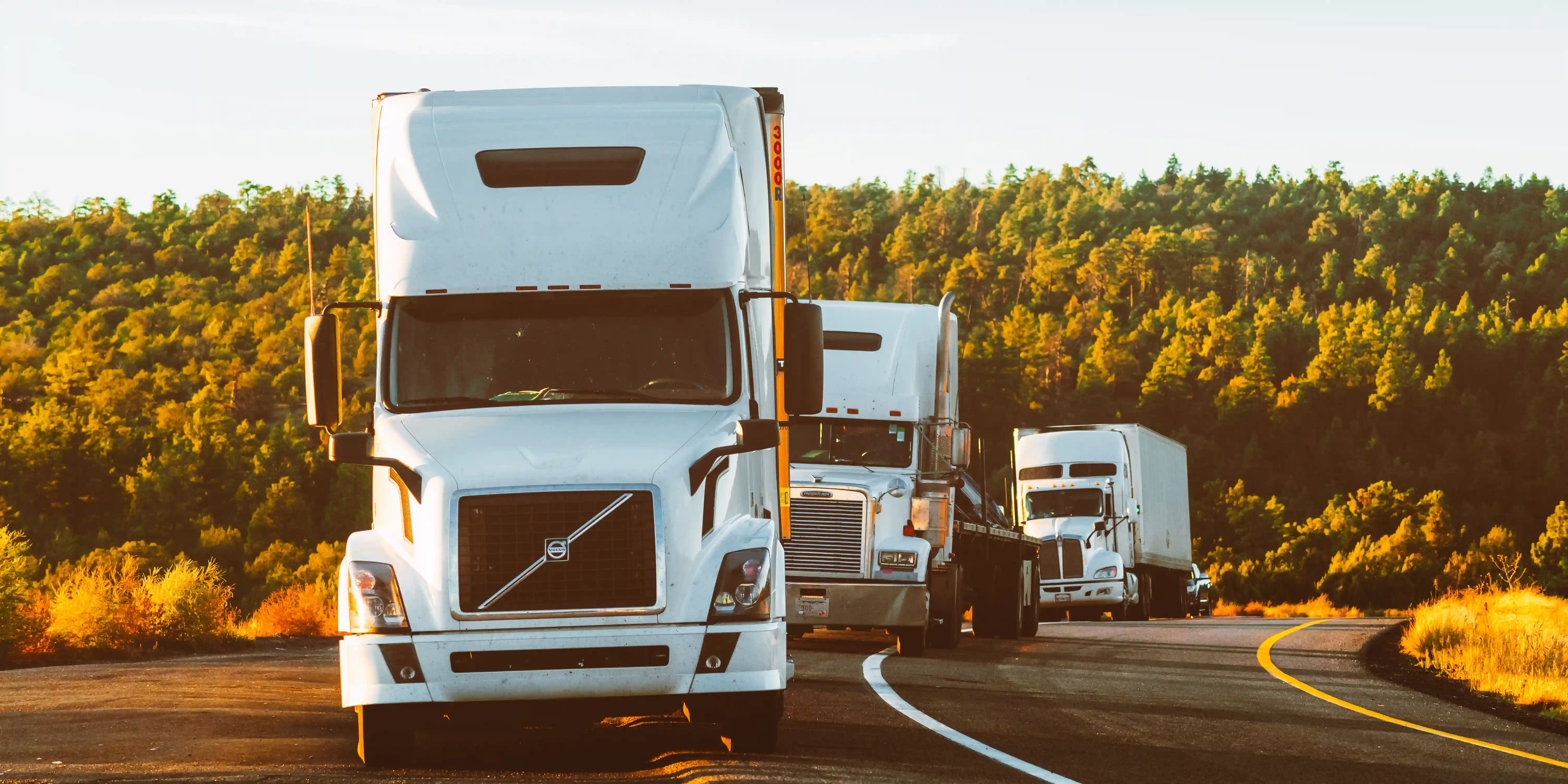 Trucks on the road